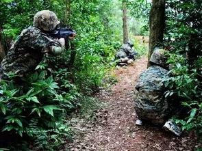 免费福利s在线野战